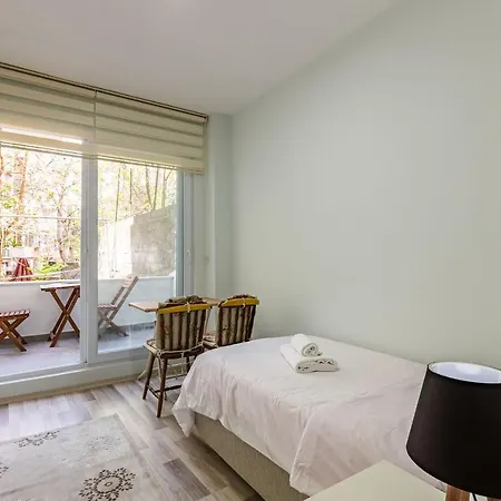 Lovely Apartment With Balcony In The Center Of Besiktas Apartment *
